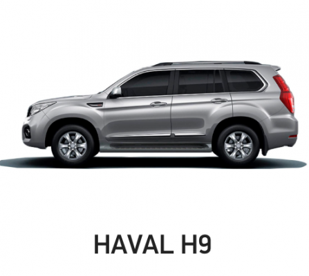 Отзывы Детейлинг Haval H9