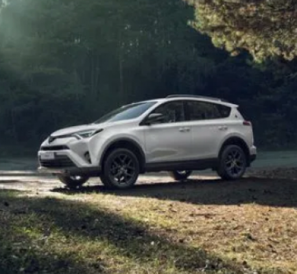 Отзывы Бронирование кузова и стекла Toyota RAV4 2016-2019